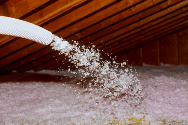 Professional Insulation Contractor in Buhler, KS