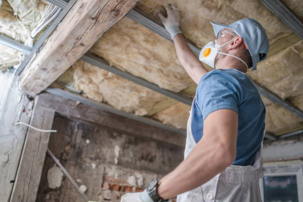 Best Insulation Maintenance and Repair in Buhler, KS