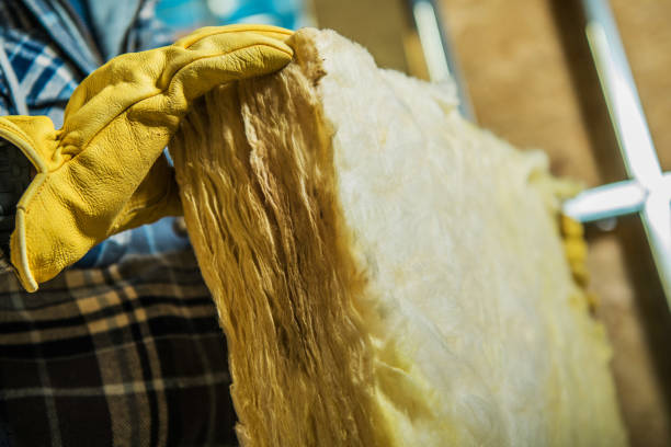 Best Cellulose Insulation in Buhler, KS