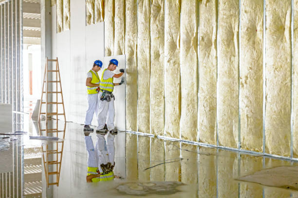 Best DIY Insulation Kits and Guidance in Buhler, KS